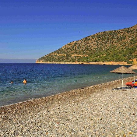 Melinda Pension & Restaurant Mesudiye  Eksteriør billede